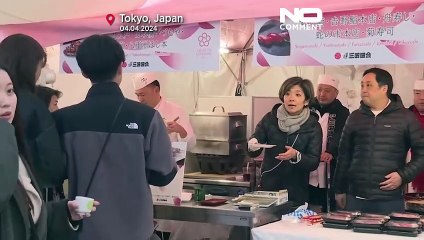 Цветение сакуры в Токио: яркое и нежное весеннее чудо 🌸