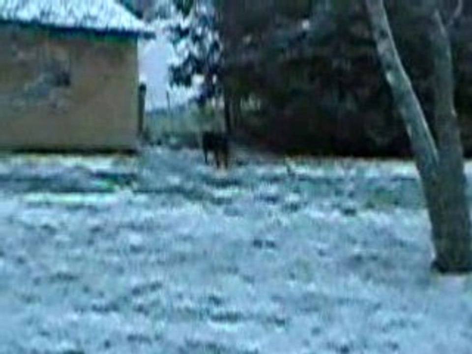 Buzz s'amuse avec Oussia