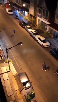 Relatos salvajes: feroz pelea terminó con destrozos en la vía pública