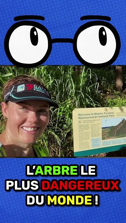 L'arbre le plus DANGEREUX du MONDE !
