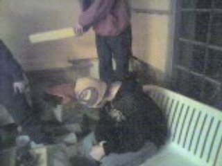 Baseball Fido VS Snap 2