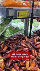 Pinhão chega aos mercados de Itajaí a partir de R$ 8,67