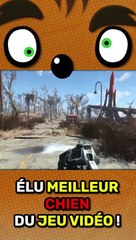 Tu ADORES ces CHIENS !