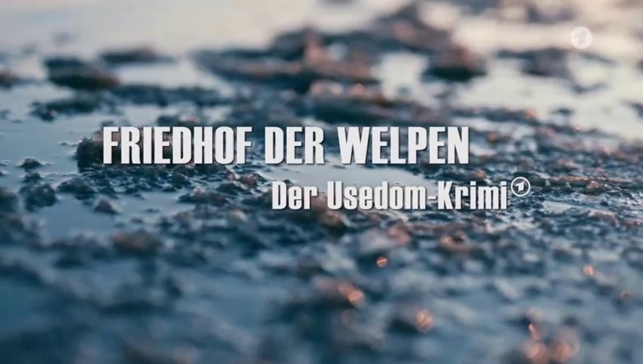 Der Usedom-Krimi -20- Friedhof der Welpen