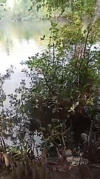 galing naman ni papi