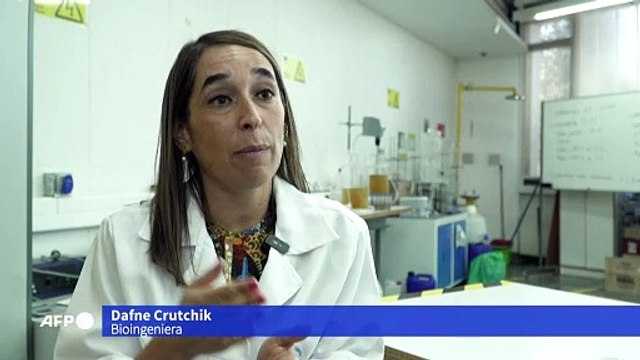 Unos científicos lograron extraer un valioso mineral de la orina humana para crear fertilizantes