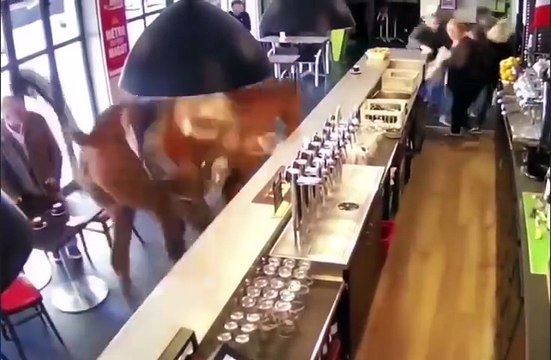 A horse runs into a restaurant and people run away