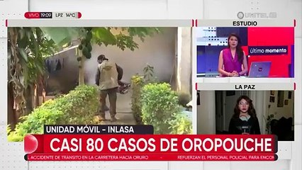 Unos 17 nuevos casos de Oropouche se registraron en esta jornada en el departamento de La Paz