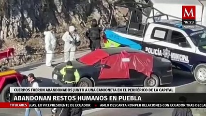 Localizan restos humanos en Puebla; autoridades confirman que pertenecen a 7 personas