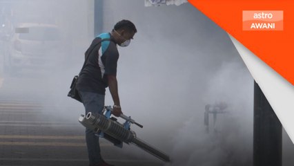 Demam denggi: Tiga kematian direkodkan pada ME-13