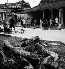 Topeng Monyet ! Bocil-Bocil Kalang Kabut