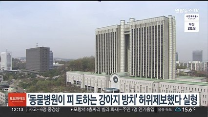 '동물병원이 피 토하는 강아지 방치' 허위제보했다 실형