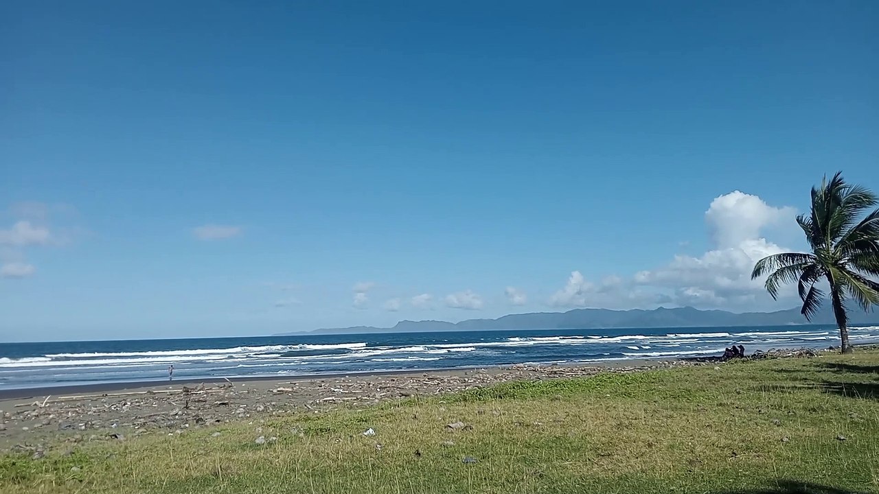 Beach Vibes