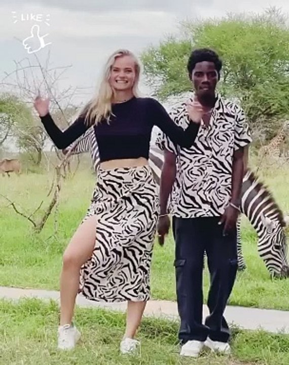 Zebras were matching us