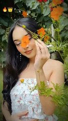 Video music lyrics songs