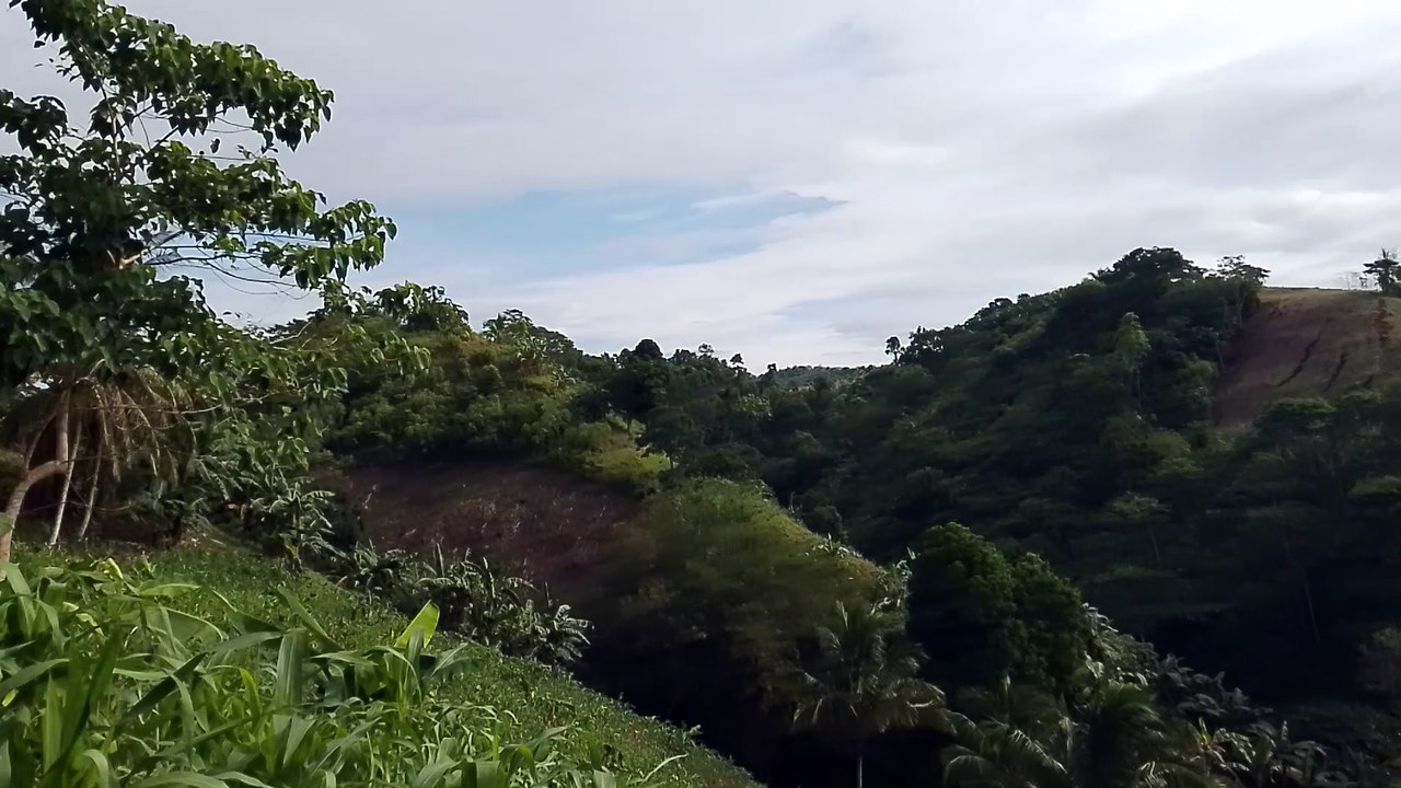 Farm