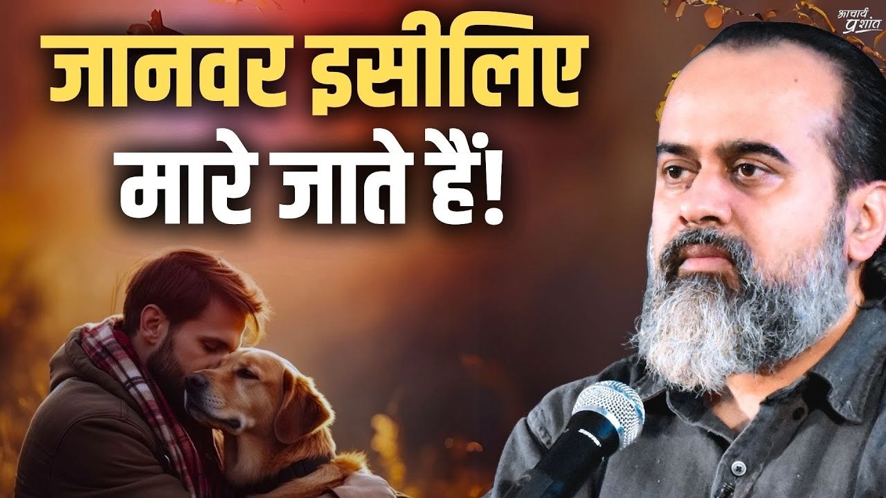 जानवरों को इंसान मारता है क्योकि. . . || आचार्य प्रशांत, बातचीत (2021)पूरा वीडियो: दो दिन की ज़िंदगी - खाओ पियो ऐश करो || आचार्य प्रशांत, बातचीत (2021) लिंक:      • दो दिन की ज़िंदगी - खाओ पियो ऐश करो ||...    ➖➖➖➖➖➖  ‍♂️ आचार्य प्रशांत से मिलना चाहते ह