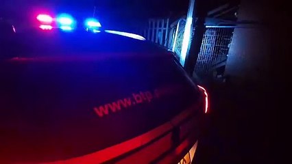 Watch flock of sheep rounded up by police on Doncaster railway