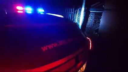 Police rescue sheep from railway line in Doncaster