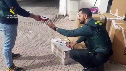 Desmantelan dos plantaciones 'indoor' en Yeles con 5 detenidos