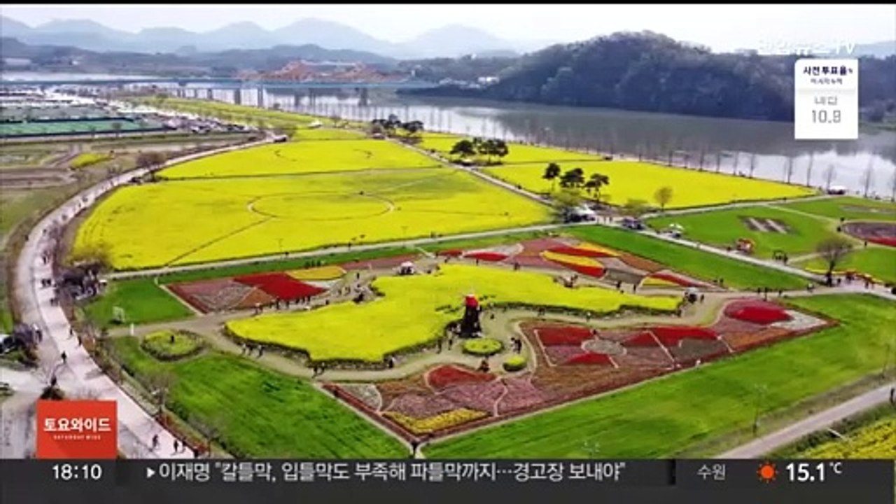 포근한 주말 봄꽃 만발…내일도 완연한 봄 날씨