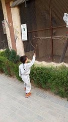 Parrots #viral #trending #foryou #reels #beautiful #love #funny #delicious #fun #love