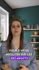 5 infos insolites sur les escargots