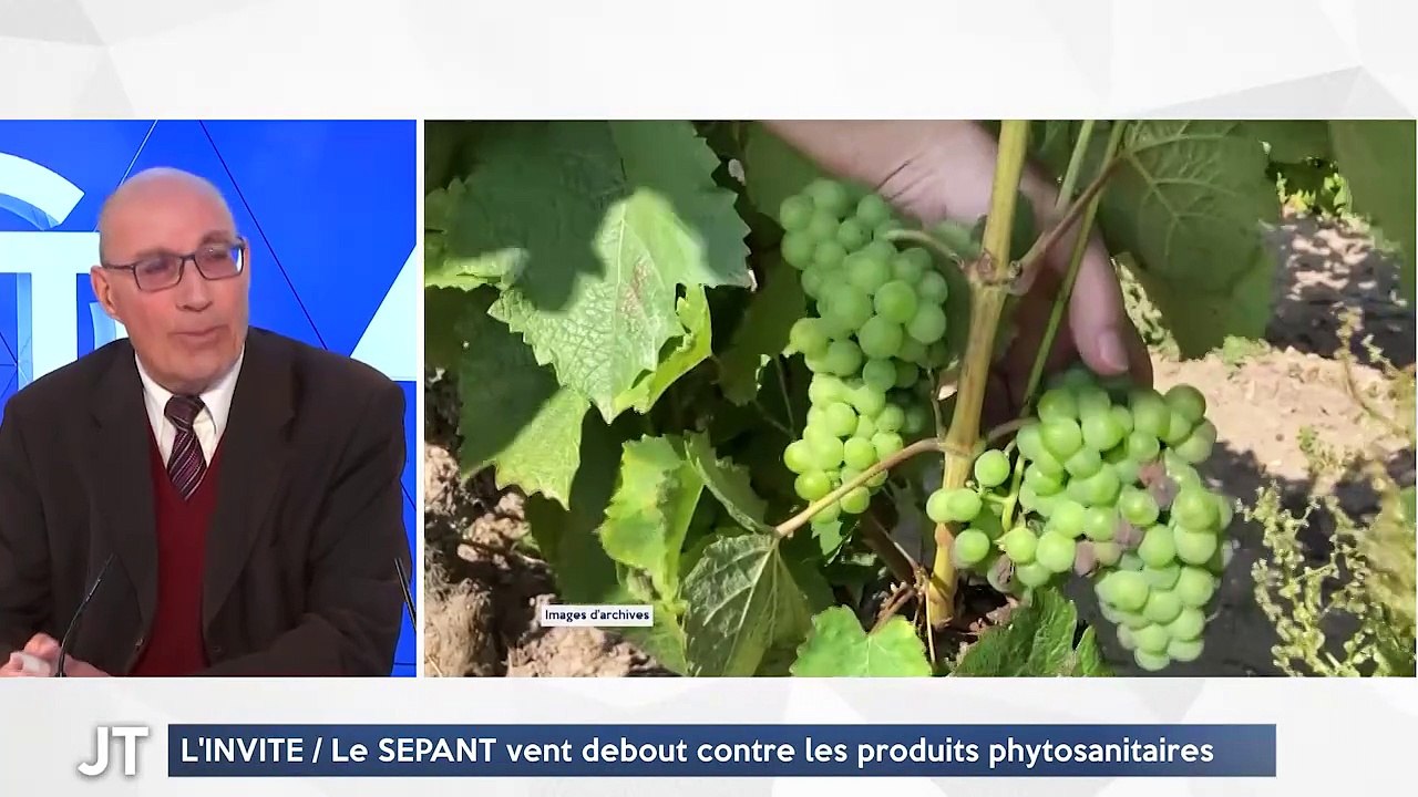 L'INVITÉ / La SEPANT vent debout contre les produits phytosanitaires