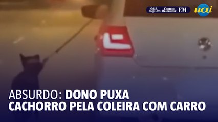 Dono puxa cachorro pela coleira com carro