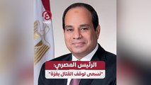 الرئيس المصري: 