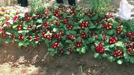 Seküler vicdansızlar sizi! Acılı eşten katilin annesi Eylem Tok'a ibretlik sözler