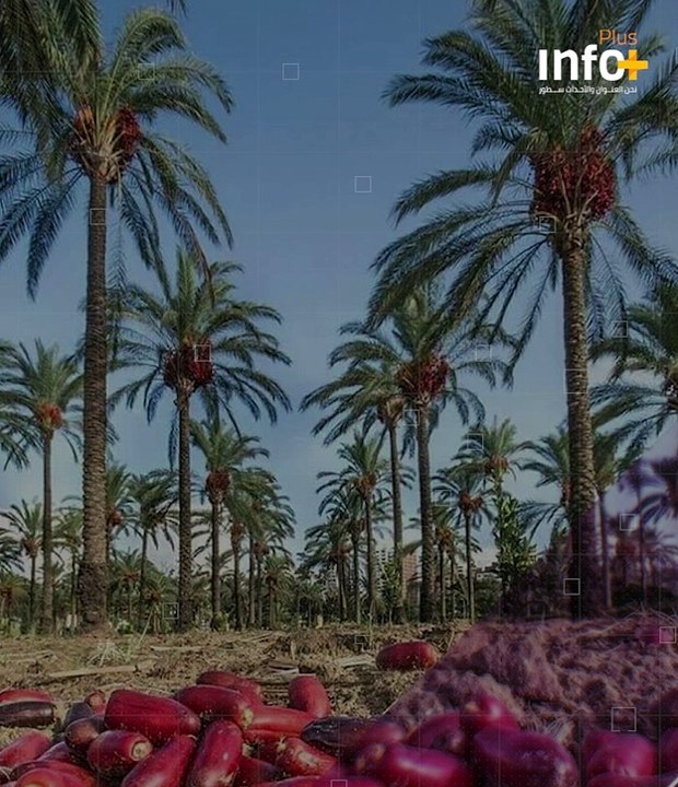 بين زمنين