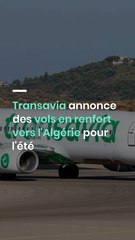 Transavia annonce des vols en renfort vers l'Algérie pour l'été