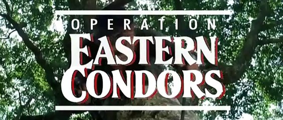 Eastern Condors Bande-annonce (DE)