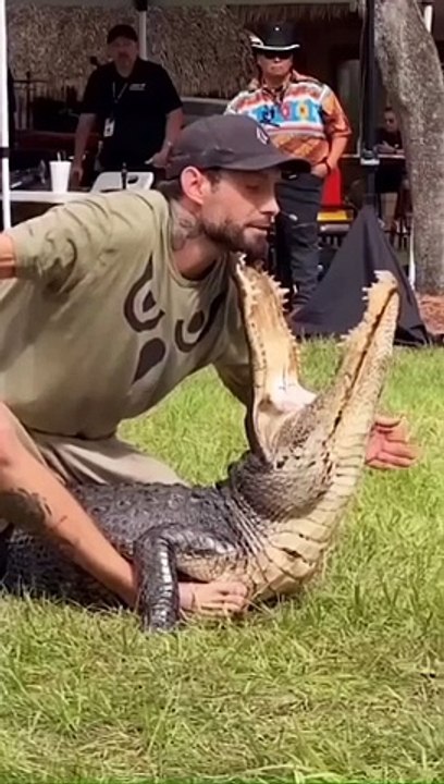 the crocodile handler is reckless