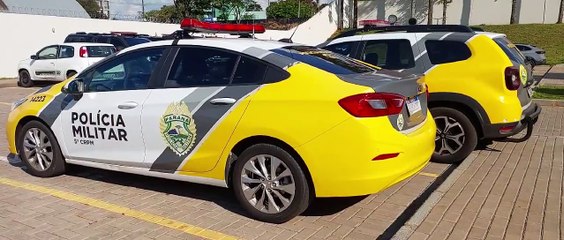 Cachorro baleado por homem em Cascavel vai para a UTI