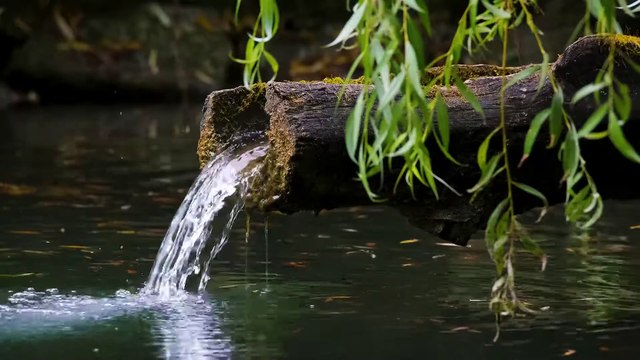 9.Ramazana Fikren Hazırlanma-Oruç Gufranla Tüllenen İbadet M.Fethullah Gülen Sesli Kitap