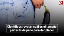 Científicos revelan cuál es el tamaño perfecto de pene para dar placer