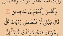 القرآن الكريم. سورة يوسف