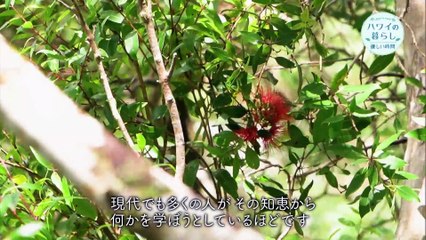 ハワイの暮らし　優しい時間　第6話　未来へ　　　　(GG).Title5