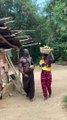 Meet this crazy African fitness family with an incredible  Genetics and fitness lifestyle. --(720P_HD)