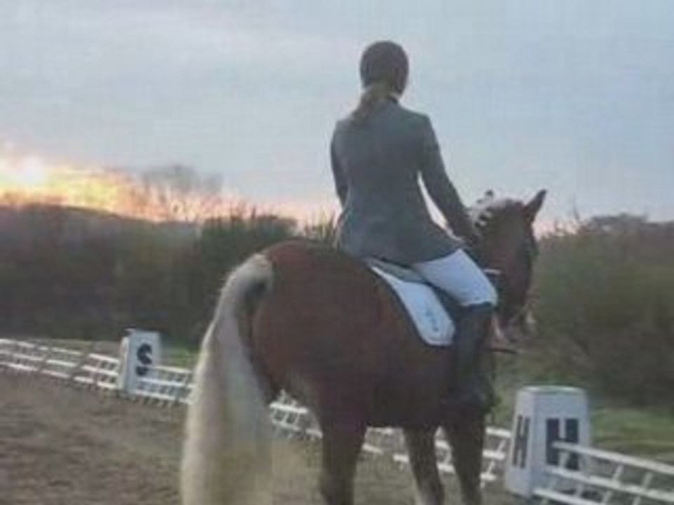 Clem&Iffick dress CP1 cce caudan