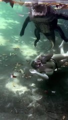 Swimming with alligators ❤️