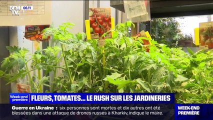 Fleurs, fruits, légumes... Avec l'arrivée du printemps, l'heure est aux plantations