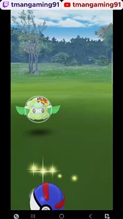 Pokémon GO-Flower Crown Cottonee