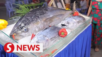 Vietnam News | Fancy an eyeball feast?