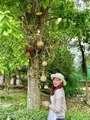 Thien Mu/ Linh Mu (Heaven Fairy Lady) Pagoda - the most fascinating & ancient pagoda in Hue, Vietnam