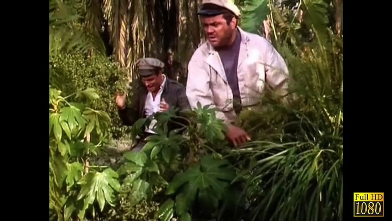 Los cuentos del mono de oro - 12 - El niño mono - HD 1080P