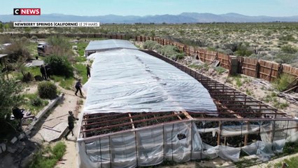 Californie : les fermes illégales de cannabis submergent le désert