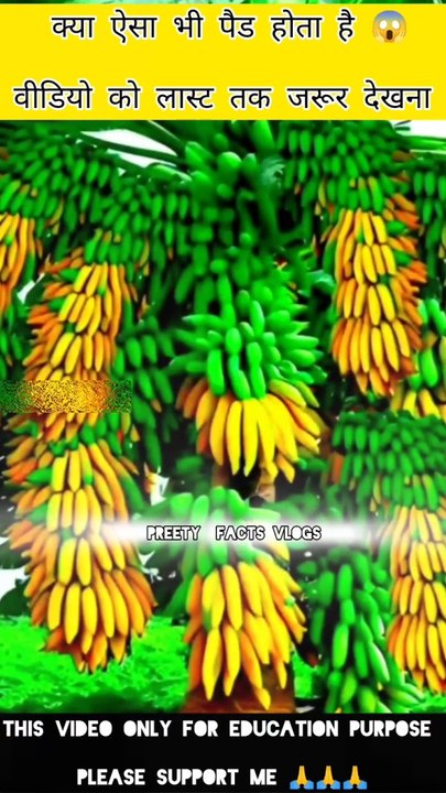 केले का पेड़ घर में तैयार / banana tree ready at home #facts #shorts #fruits